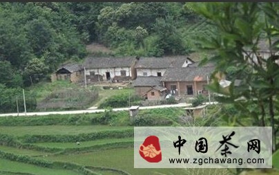 金寨县
