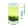 明前茶哪家好 信阳毛尖春茶 绿茶 龙潭信阳毛尖