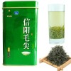 信阳毛尖茶叶价格  春尾茶 雨后茶 春茶 龙潭信阳毛尖
