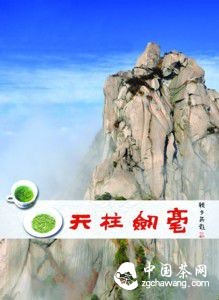 潜山打造知名茶叶品牌走现代产业联合发展之路