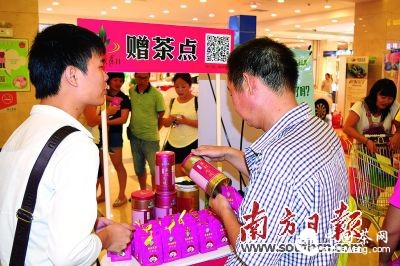 敬业茗茶向广大市民推广清远真正的本地茶——山红一号。