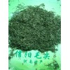 信阳毛尖绿茶口粮茶谷雨后