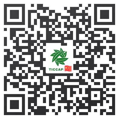 图片9